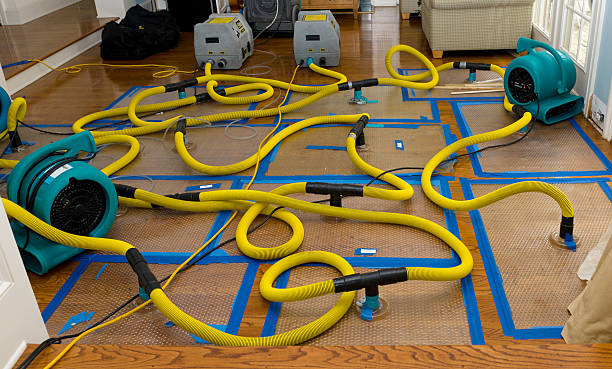 Professional Water Extraction technician working in Palmyra, IN